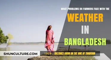Weather Woes: Challenges Faced by Bangladeshi Farmers in Agriculture