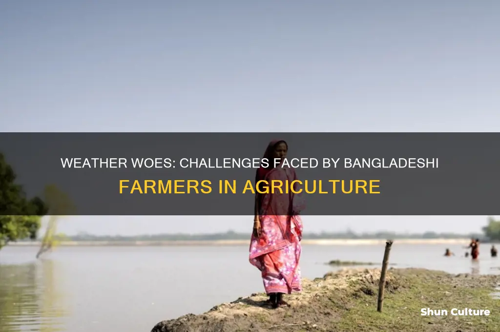 what problems do farmers face with the weather in bangladesh