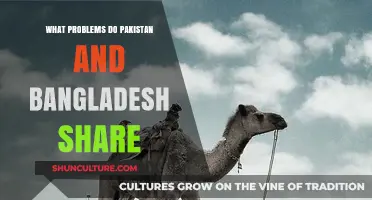 Shared Struggles: Pakistan and Bangladesh's Common Challenges and Solutions