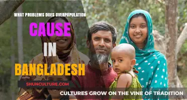 Overpopulation in Bangladesh: Challenges, Impacts, and Urgent Solutions Needed