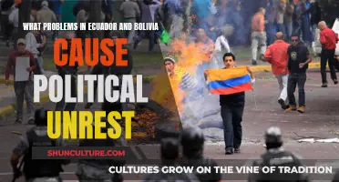 Ecuador and Bolivia's Political Unrest: Root Causes