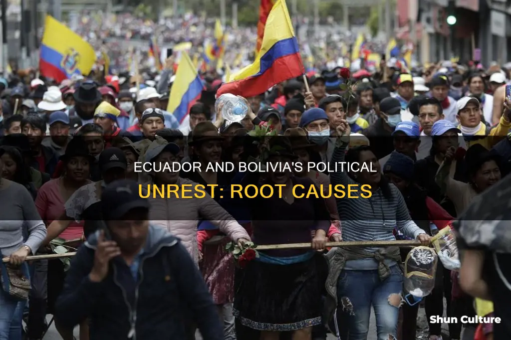 what problems in ecuador and bolivia cause political unrest