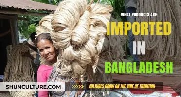 Exploring Bangladesh's Import Market: Key Products and Trade Insights
