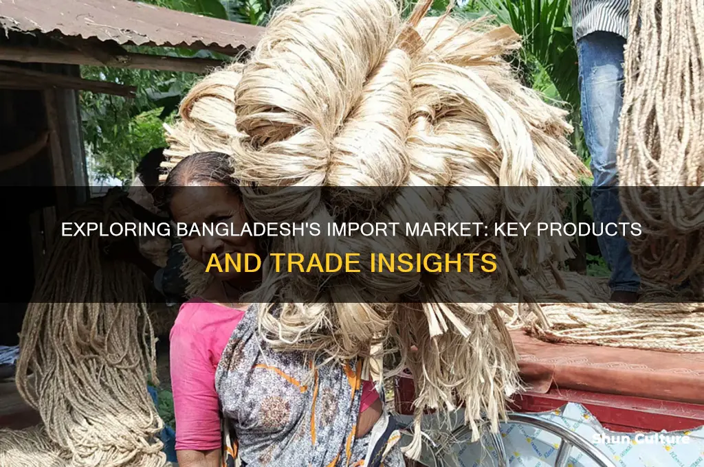 what products are imported in bangladesh