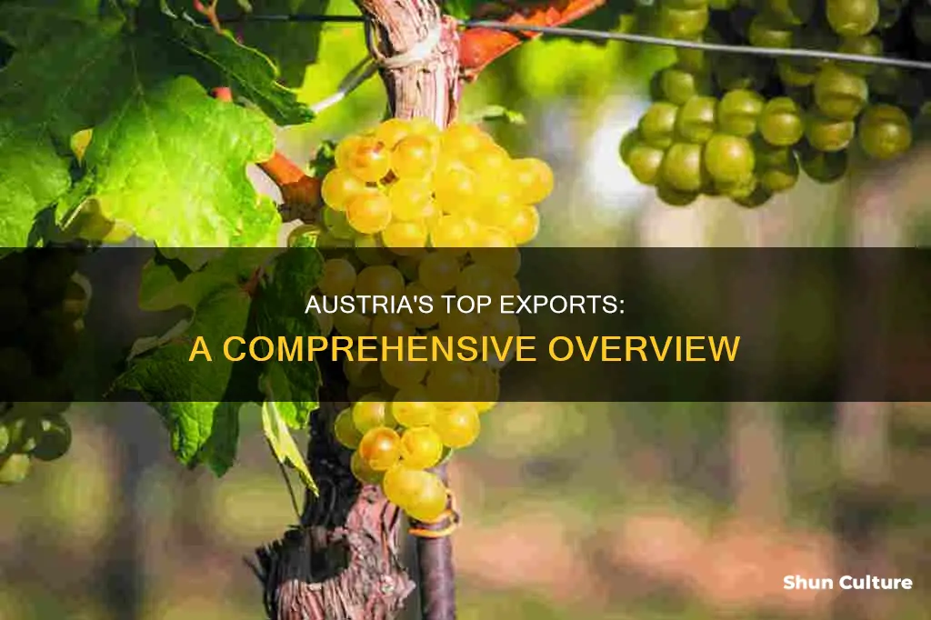 what products does austria export