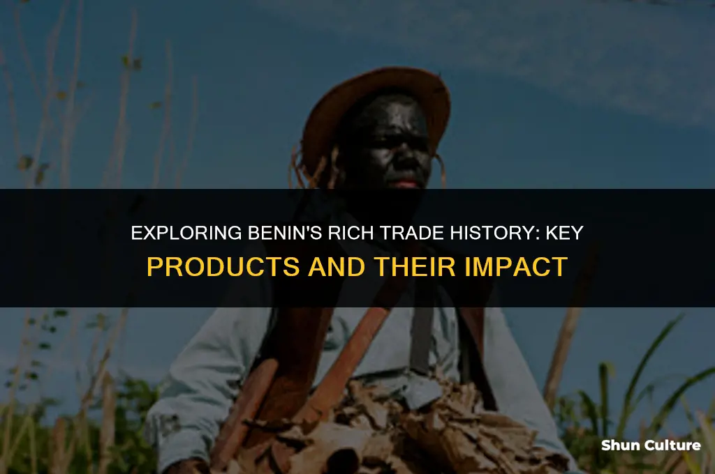 what products were traded in benin