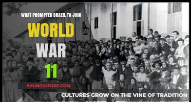 Brazil's WWII Entry: Political, Economic, and Strategic Factors Explained