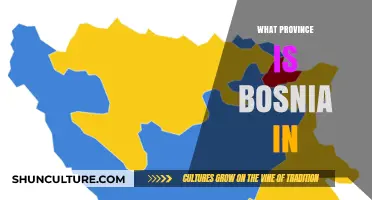 Bosnia's Provincial Identity: Unraveling Its Geographic and Political Affiliation