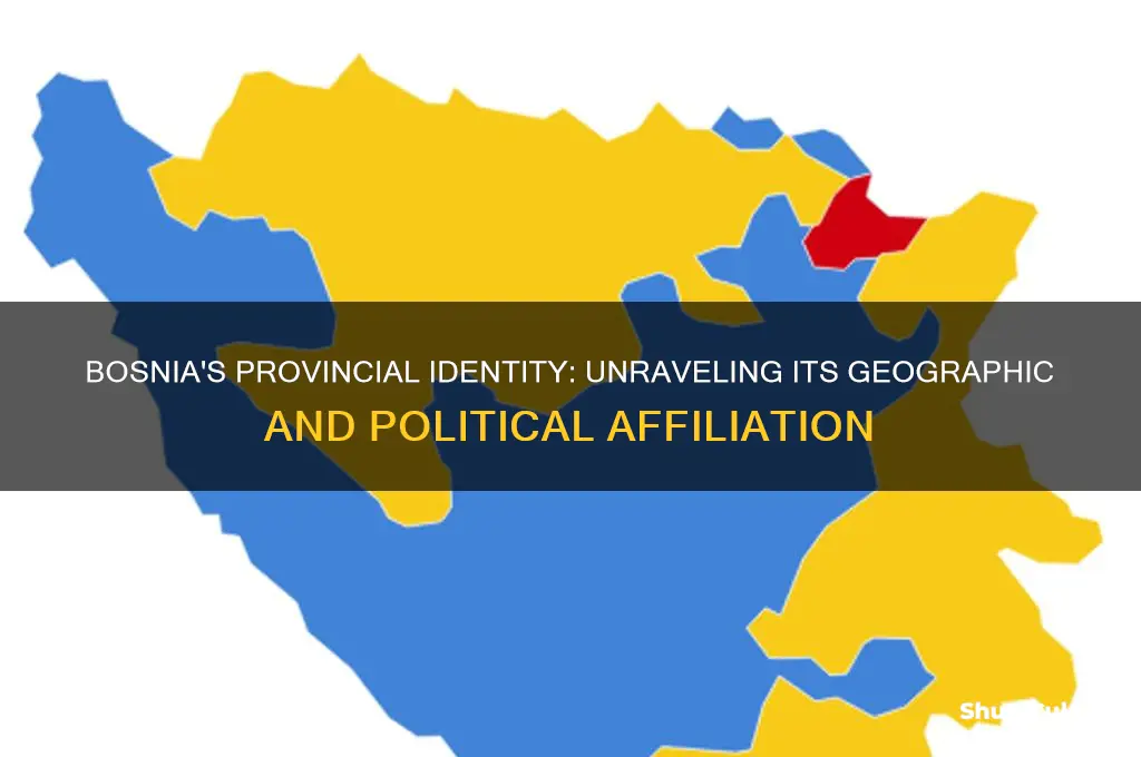 what province is bosnia in