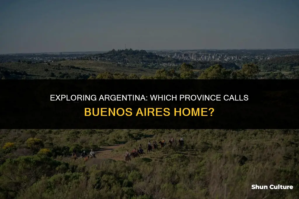 what province is buenos aires in