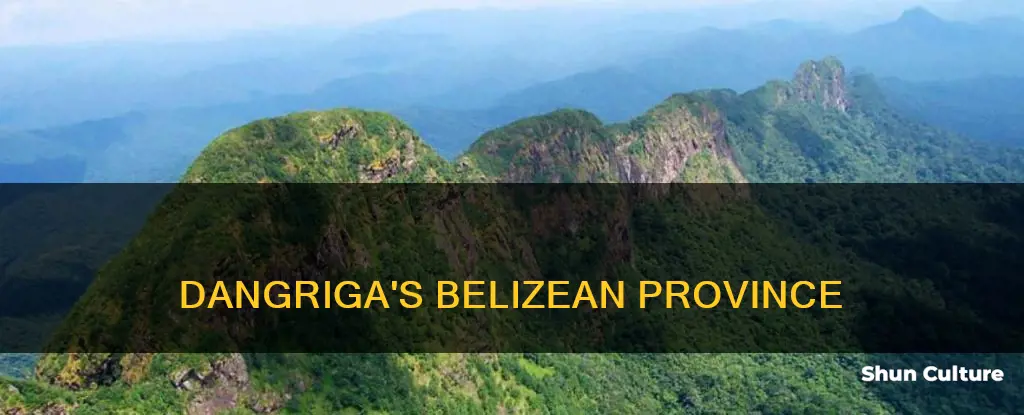 what province is dangriga belize in