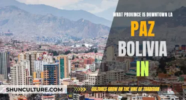 Exploring La Paz, Bolivia: A Province and City Guide