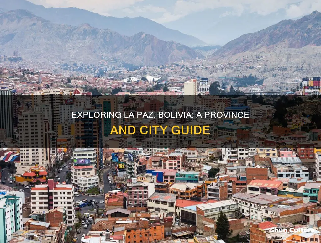 what province is downtown la paz bolivia in