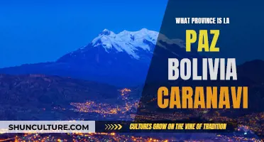 Exploring Caranavi: La Paz's Hidden Gem in Bolivia