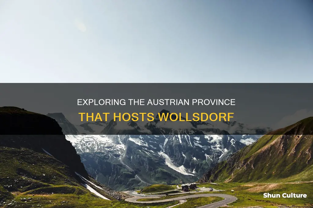what province is wollsdorf austria in