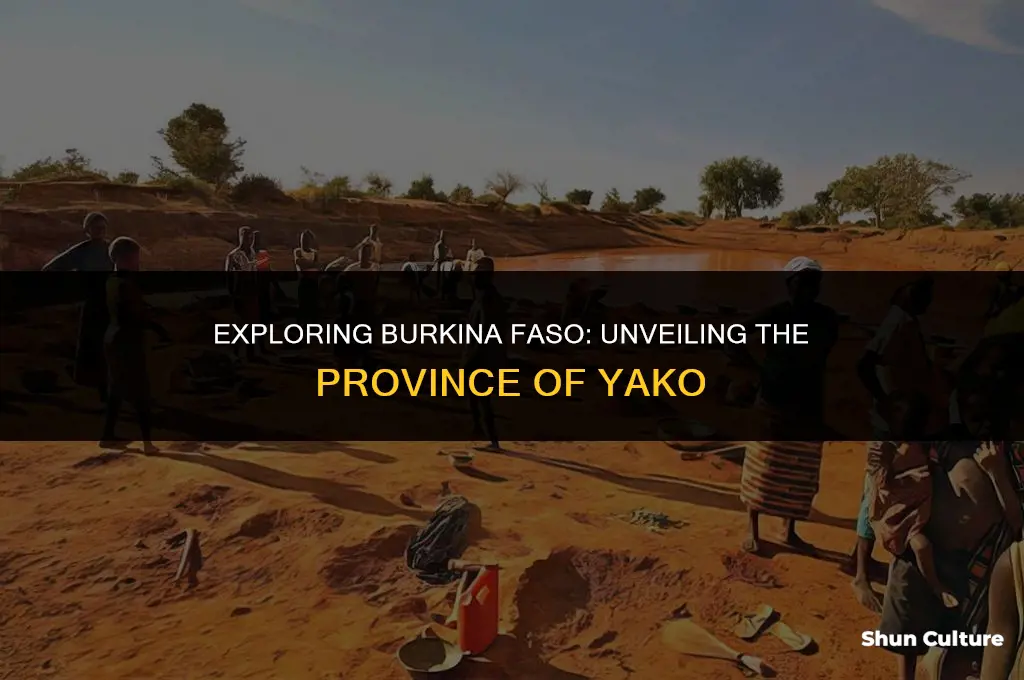 what province is yako burkina faso in