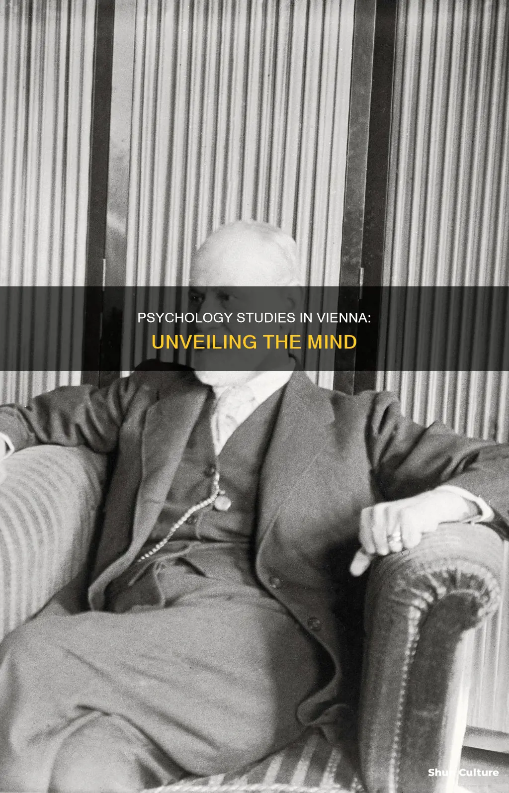 what psychologist studies in vienna austria
