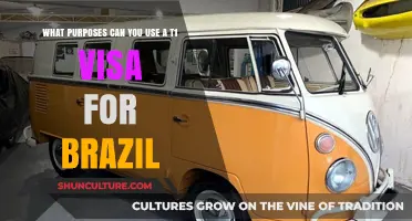 Unlocking Opportunities: T1 Visa Uses for Brazil Explained