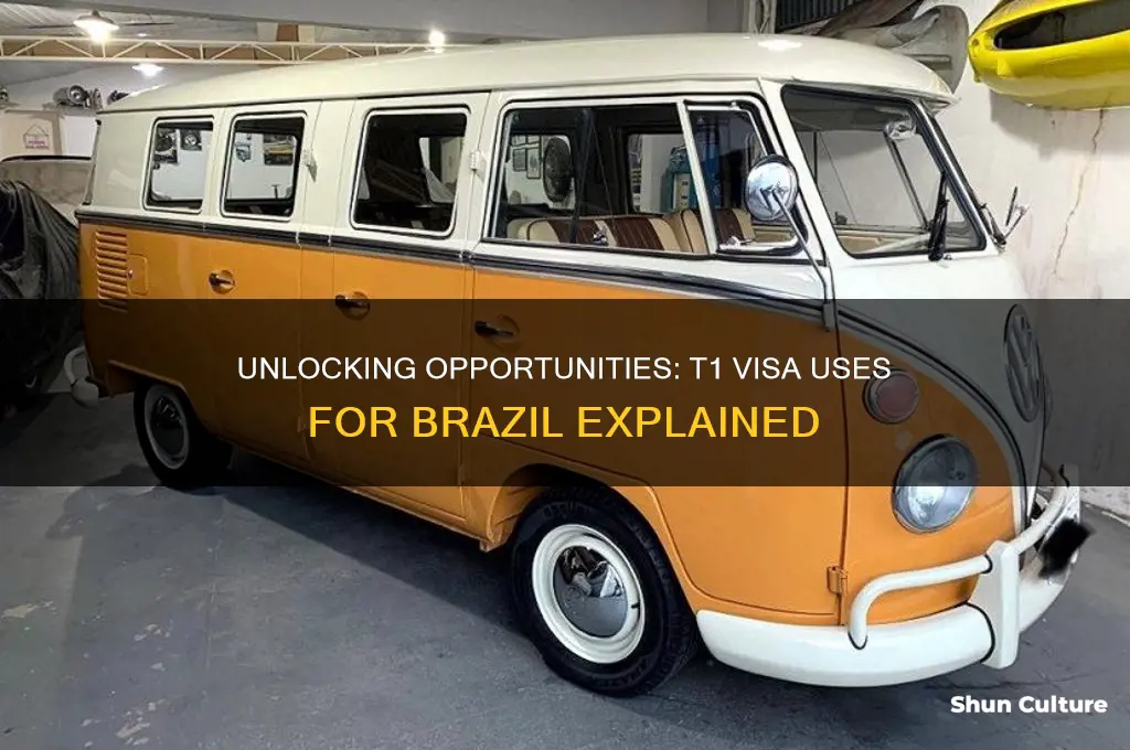 what purposes can you use a t1 visa for brazil