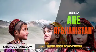 The Ethnic Diversity of Afghanistan's People