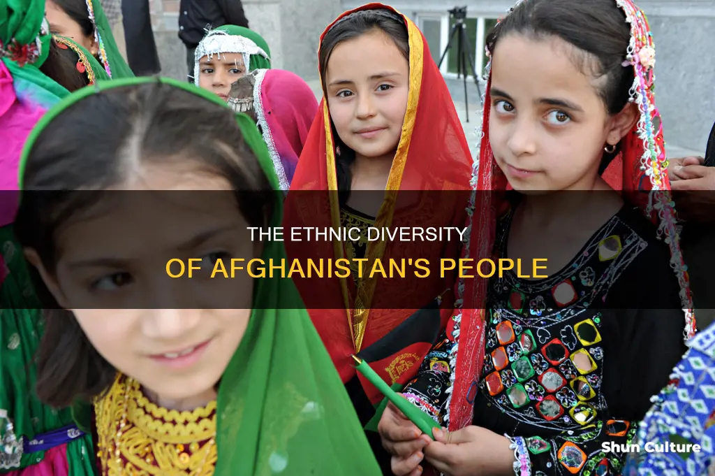 what race are afghanistan