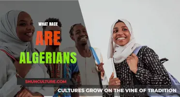 Understanding Algerian Ethnicity: Exploring the Diverse Racial Identity of Algerians