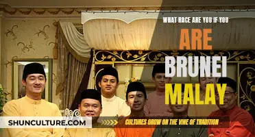 Understanding the Ethnic Identity of Brunei Malays