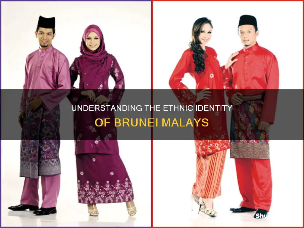 what race are you if you are brunei malay