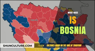 Understanding Bosnia's Ethnic Diversity: A Complex Cultural and Historical Overview