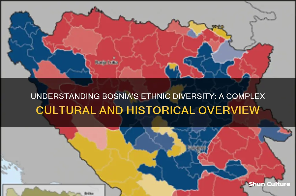 what race is bosnia