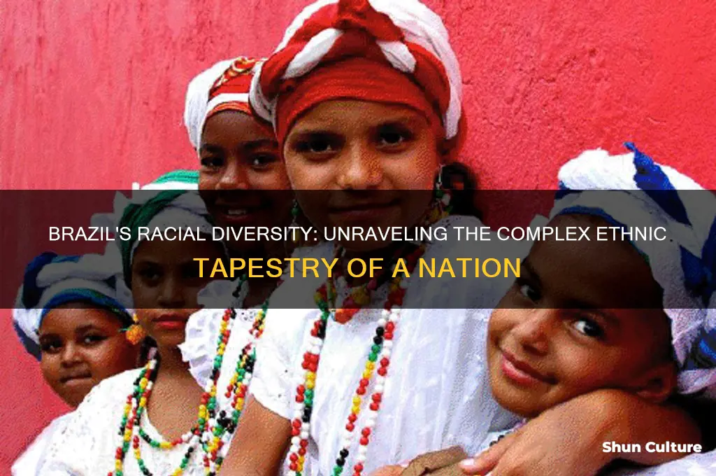 what race is brazil