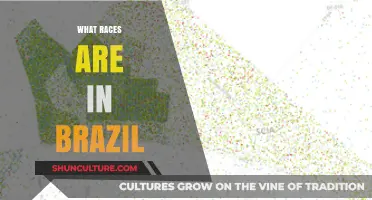 Exploring Brazil's Rich Racial Diversity: A Cultural Mosaic Unveiled
