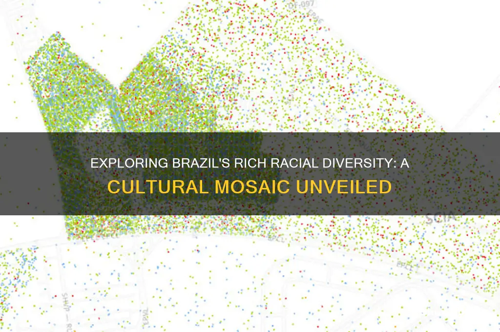 what races are in brazil