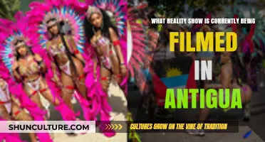 Antigua's Reality Show Buzz: Which Hit Series is Filming Now?