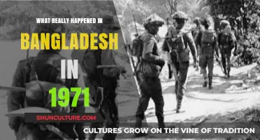 Uncovering the Truth: Bangladesh's 1971 Liberation War Revealed