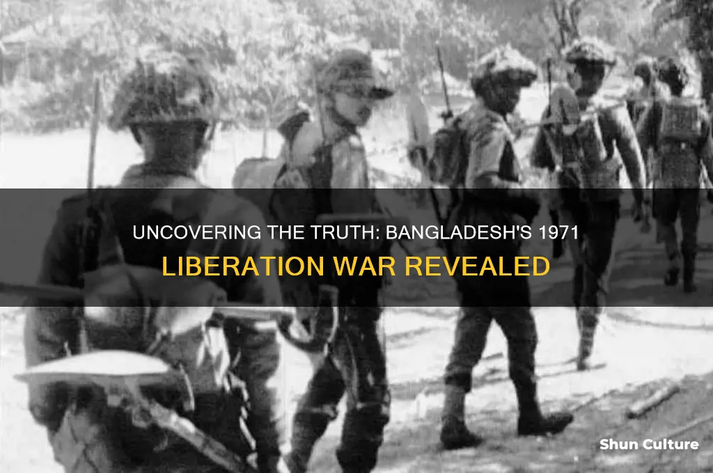 what really happened in bangladesh in 1971