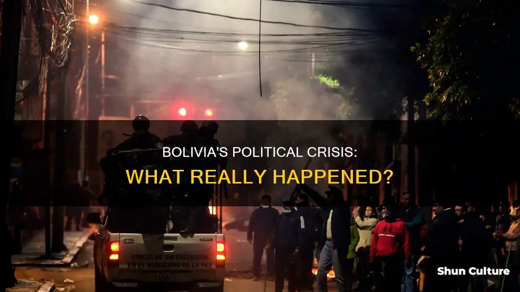 what really happened in bolivia jorge castaneda project syndicate