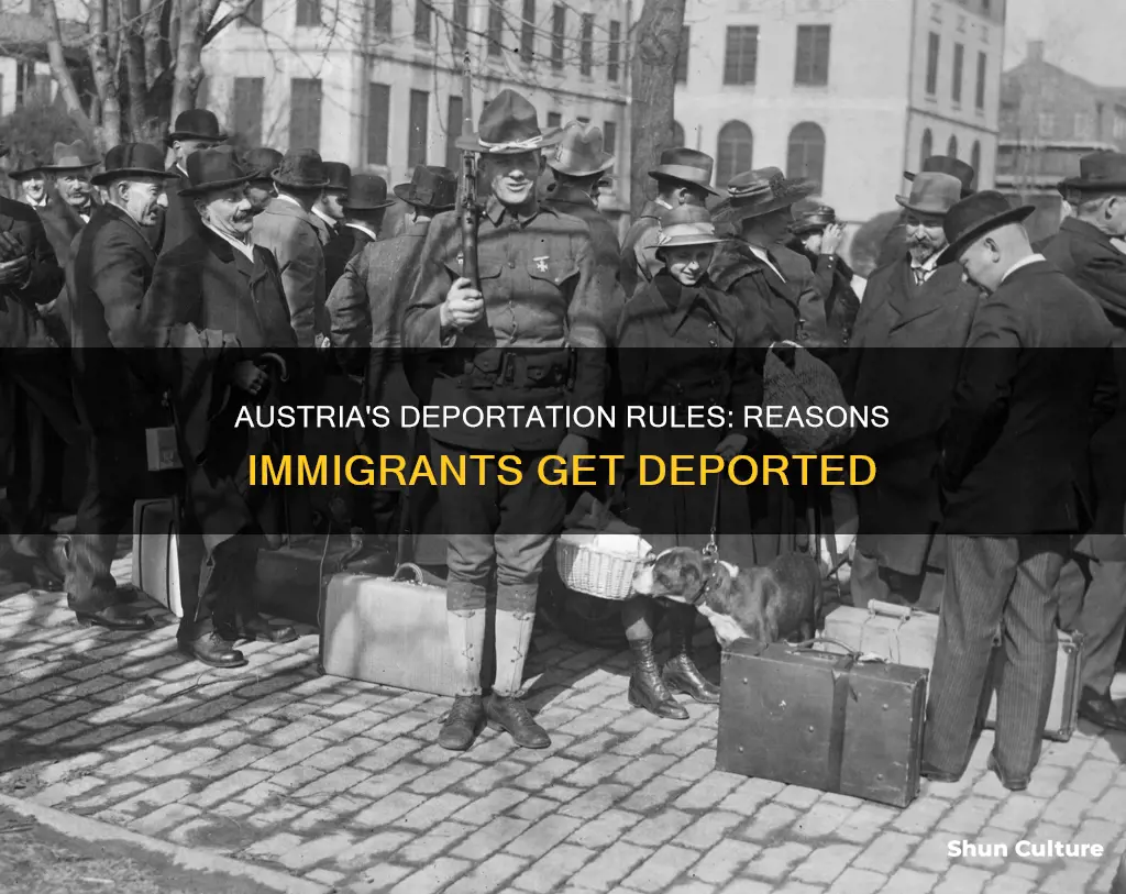 what reason can immigrants can be deported out of austria