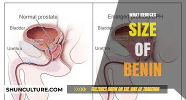 Exploring Treatments to Shrink an Enlarged Prostate: A Comprehensive Guide