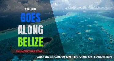Belize's Barrier Reef: A Natural Wonder