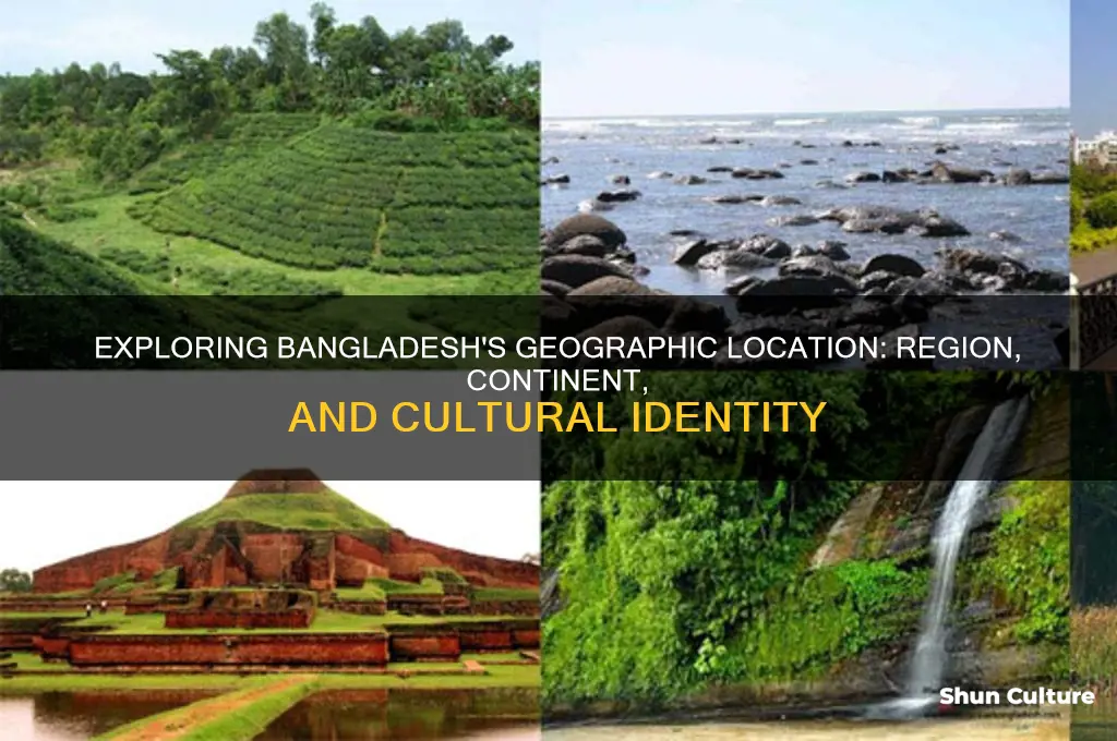 what region is bangladesh in