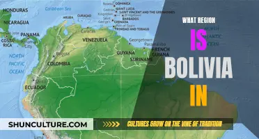 Exploring Bolivia's Unique Regional Location