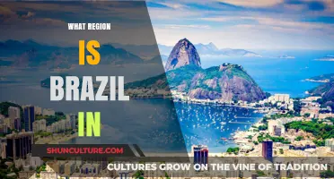 Exploring Brazil's Geographic Region: South America's Cultural and Natural Gem