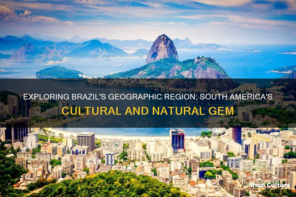 what region is brazil in