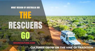 The Rescuers' Australian Mission: Exploring the Outback's Remote Regions