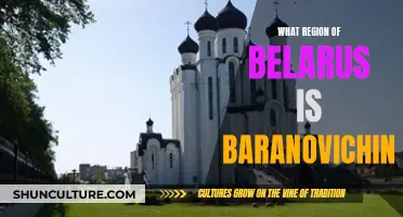 Exploring the Region of Baranovichin in Belarus