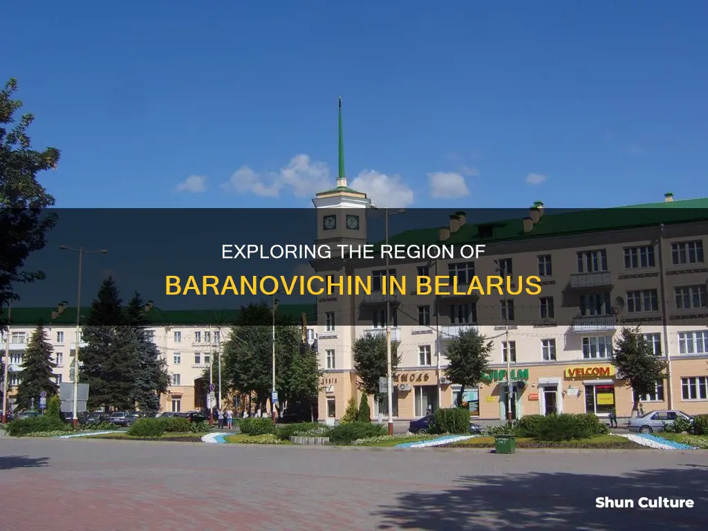 what region of belarus is baranovichin