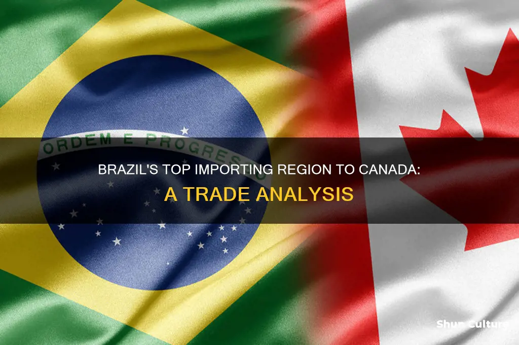 what region of brazil imports the most goods to canada