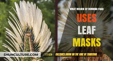 Exploring Burkina Faso: The Art of Leaf Masks in the North