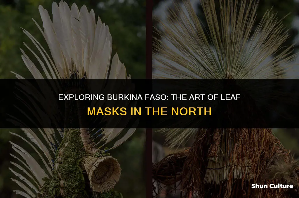 what region of burkina faso uses leaf masks